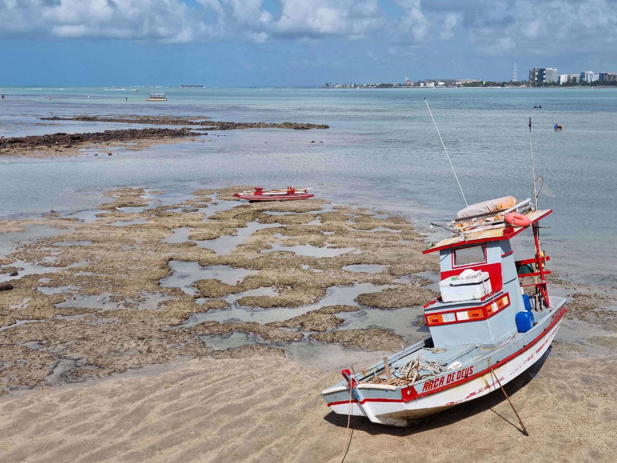 2 Quadra Mar,vista E Piscina No Topo Maceió