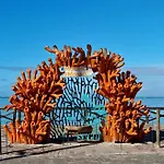 Apartamento 2 Quadra Mar,Vista E Piscina No Topo
