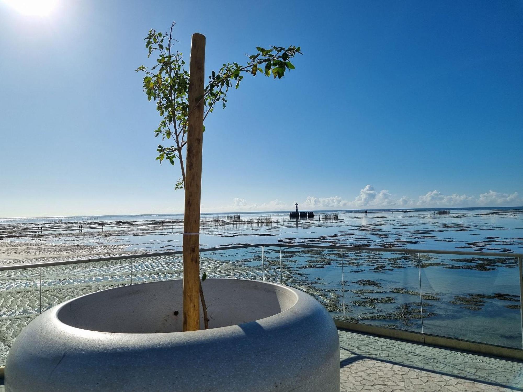 Apartamento 2 Quadra Mar,vista E Piscina No Topo Maceió